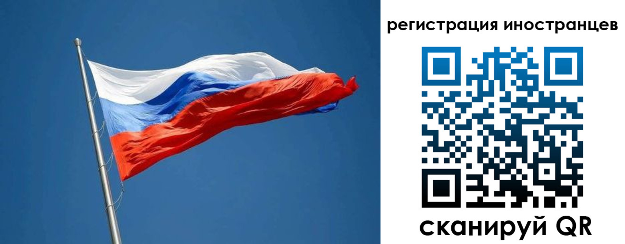 прописка в Ясном